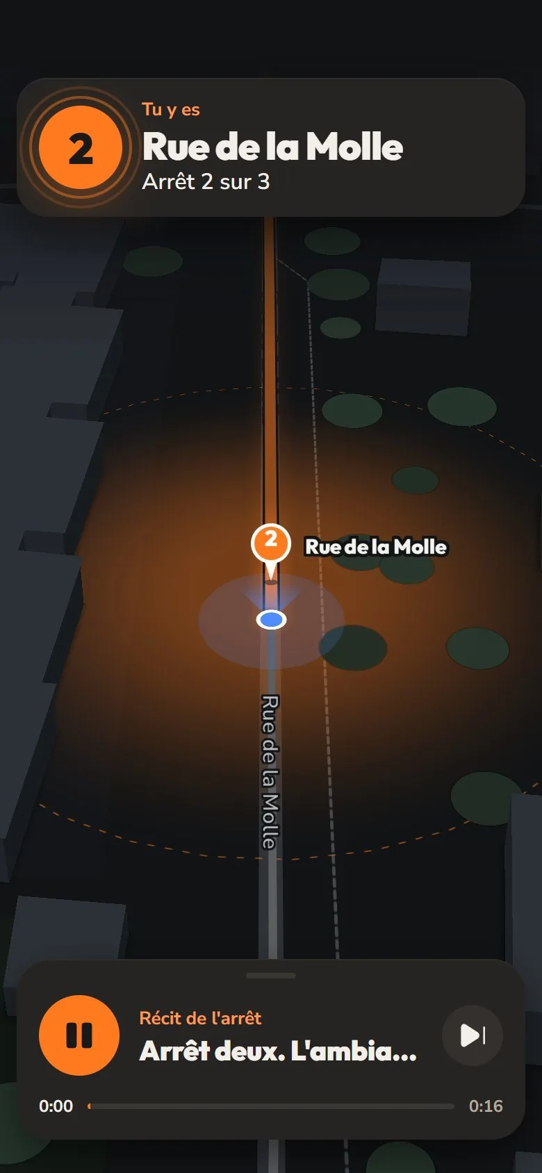 La carte de nuit : la rue éclairée en orange autour de l'arrêt